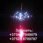 Виктория (FP-B304) 6047 салют