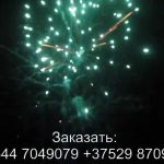 Стрелы Амура (FP-B350) 6723 салют