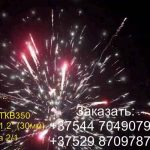 Полет Пегаса (FP-B306) 6701 салют