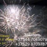 Полет Пегаса (FP-B306) 6708 салют