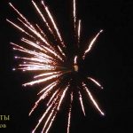 Пираты (FP-B213) 6469 салют