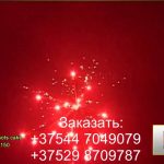 SHOW (MC107) 6511 салют