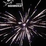 Фиеста (FP-B301) 6573 салют