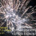 Полет Пегаса (FP-B306) 6709 салют