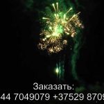 Летучий голландец (FFW2033-200) 7311 салют