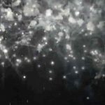 Батарея салютов (TXB870) 7530 салют