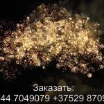 Повелитель молний(FFW2034-300) 7460 салют