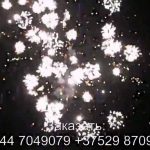 Стрелы Амура (FP-B350) 6724 салют