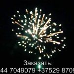 Шаман шоу (TKB969) 7065 салют