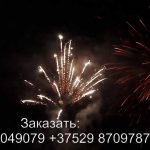Силуэт (FP-B204) 6324 салют