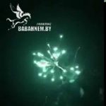 Улыбка дракона (FPM03) 6385 салют