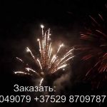 Тандем (FP-B339) 6560 салют