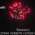 Феерверк Звездная россыпь (FP-B103) 6435 салют