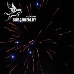 Виктория (FP-B304) 6050 салют