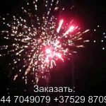 Стрелы Амура (FP-B350) 6725 салют
