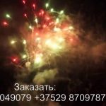 Силуэт (FP-B204) 6325 салют