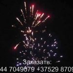 Феерверк Звездная россыпь (FP-B103) 6450 салют