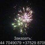 Феерверк Звездная россыпь (FP-B103) 6451 салют