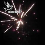 Виктория (FP-B304) 6052 салют