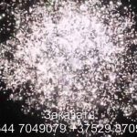Стрелы Амура (FP-B350) 6727 салют