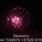 Грандиозное приключение (TKPM809) 6172 салют