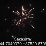Феерверк Звездная россыпь (FP-B103) 6452 салют