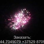 Шаман шоу (TKB969) 7069 салют