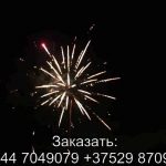 Грандиозное приключение (TKPM809) 6173 салют