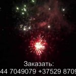 Прикосновение рая (FP-B317) 6098 салют