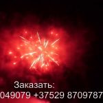 Силуэт (FP-B204) 6329 салют