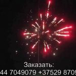 Феерверк Звездная россыпь (FP-B103) 6453 салют