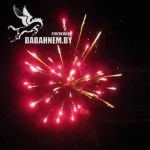 Виктория (FP-B304) 6054 салют