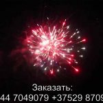 Шаман шоу (TKB969) 7070 салют