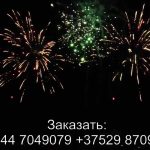 Летучий голландец (FFW2033-200) 7306 салют