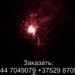 Speed Background (GP306) 6222 салют