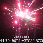 Фурор (FP-B338) 6748 салют