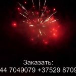 Силуэт (FP-B204) 6330 салют
