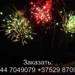 Летучий голландец (FFW2033-200) 7307 салют