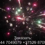 Фурор (FP-B338) 6749 салют