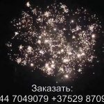 Феерверк Звездная россыпь (FP-B103) 6458 салют