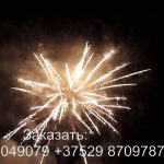 Тандем (FP-B339) 6568 салют