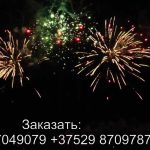 Летучий голландец (FFW2033-200) 7308 салют