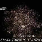 Грандиозное приключение (TKPM809) 6176 салют