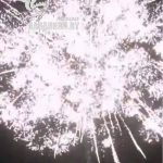 Фиеста (FP-B301) 6581 салют