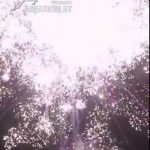 Адреналин (FP-B313) 6977 салют