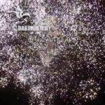 Адреналин (FP-B313) 6978 салют