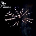 Армагеддон (FP-B307) 6654 салют