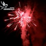 Армагеддон (FP-B307) 6656 салют