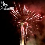 Армагеддон (FP-B307) 6659 салют