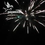 Адреналин (FP-B313) 6971 салют